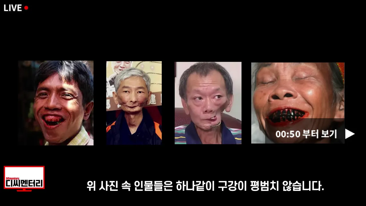 한국 디씨멘터리 해외반응 외국인반응