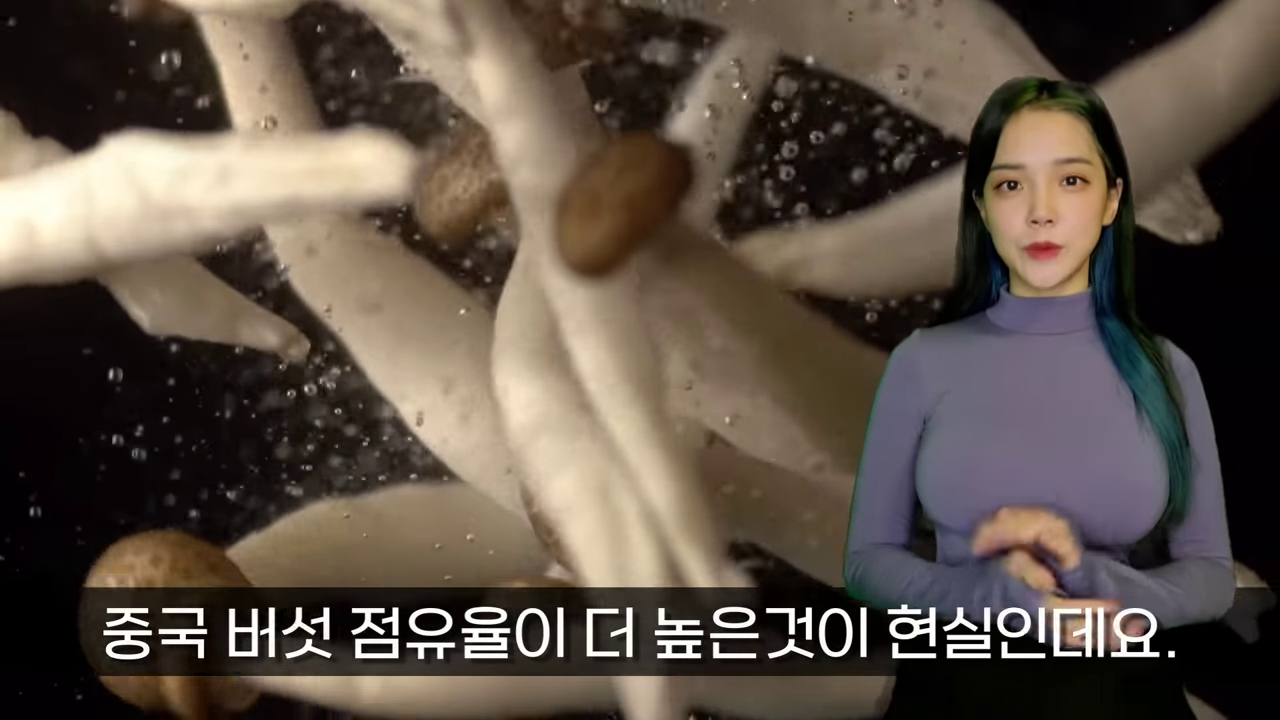 호주 버섯 한국 버섯 버섯 수출 해외에서 인기있는 한국제품 외국에서 인기있는 한국제품